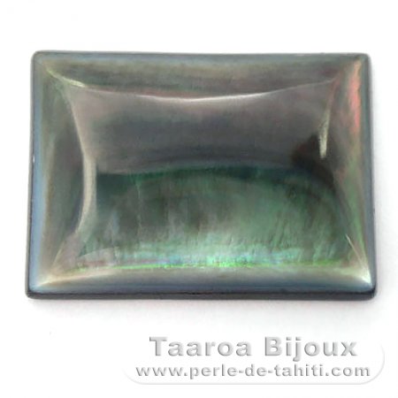 Tahitian mother-of-pearl rectangle shape - 25 x 18 x 4 mm