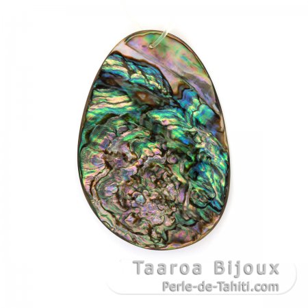 Mother-of-pearl oval shape - 55 x 35 mm