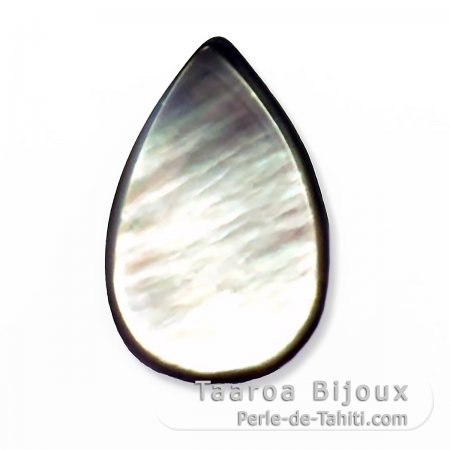 Tahitian Mother-of-pearl drop shape - 24 x 15 mm