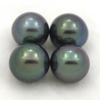 Lot of 4 Tahitian Pearls Semi-Round C from 9 to 9.4 mm