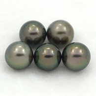 Lot of 5 Tahitian Pearls Semi-Round C from 9 to 9.3 mm