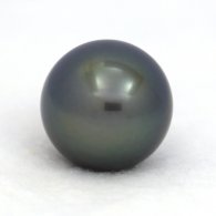 Tahitian Pearl Round B 14.3 mm