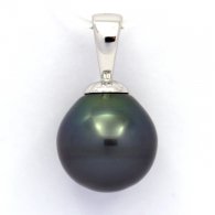 Rhodiated Sterling Silver Pendant and 1 Tahitian Pearl Ringed B 11.7 mm