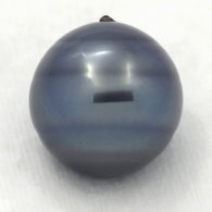 Tahitian Pearl Ringed C 15.6 mm