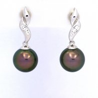 Rhodiated Sterling Silver Earrings and 2 Tahitian Pearls Round C 9 mm