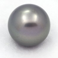 Tahitian Pearl Round B 15.1 mm