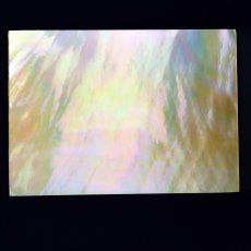Australian mother-of-pearl rectangle shape - 50 x 35 mm