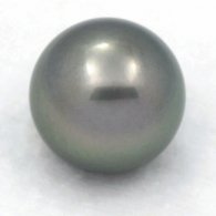 Tahitian Pearl Round C 13 mm