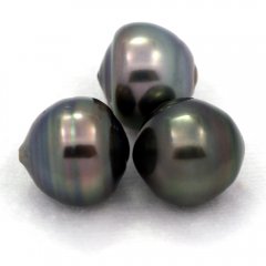 Lot of 3 Tahitian Pearls Ringed C from 12 to 12.3 mm