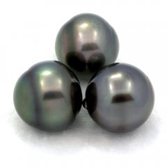 Lot of 3 Tahitian Pearls Ringed C from 12.6 to 12.9 mm