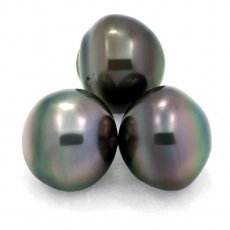 Lot of 3 Tahitian Pearls Ringed C from 12.6 to 12.9 mm