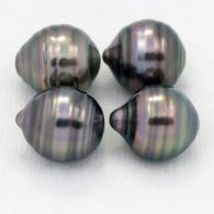 Lot of 4 Tahitian Pearls Ringed C from 9.5 to 9.8 mm