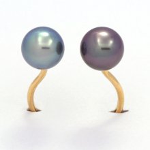 18K Solid Gold Ring and 2 Tahitian Pearls Round B+ 8.3 and 8.5 mm