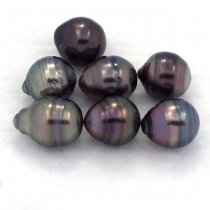 Lot of 7 Tahitian Pearls Ringed C from 8 to 8.3 mm