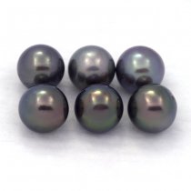 Lot of 6 Tahitian Pearls Round C from 8.5 to 8.8 mm