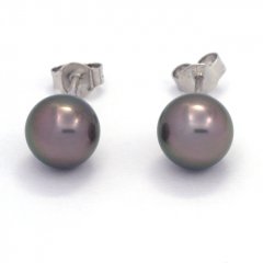 Rhodiated Sterling Silver Earrings and 2 Tahitian Pearls Round C 8.2 mm