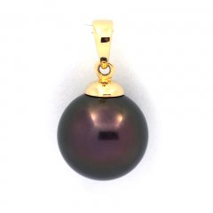18K solid Gold Pendant and 1 Tahitian Pearl Round B 11.5 mm