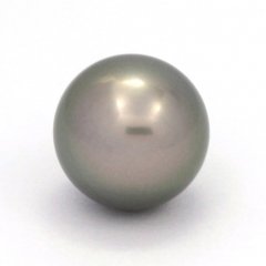 Tahitian Pearl Round B/C 14.8 mm
