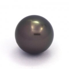 Tahitian Pearl Round B 14.4 mm