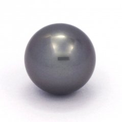 Tahitian Pearl Round AB 14.2 mm