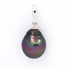 Rhodiated Sterling Silver Pendant and 1 Tahitian Pearl Ringed B 11 mm