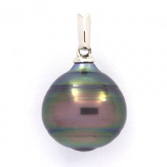 Rhodiated Sterling Silver Pendant and 1 Tahitian Pearl Ringed C 12.8 mm