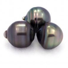 Lot of 3 Tahitian Pearls Ringed C from 12.6 to 12.9 mm