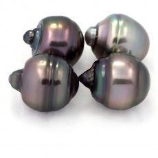 Lot of 4 Tahitian Pearls Ringed C from 13 to 13.1 mm