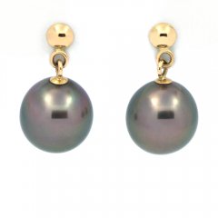 18k solid Gold Earrings and 2 Tahitian Pearls Near-Round B 8.1 mm