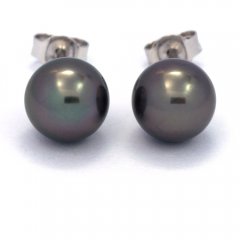 Rhodiated Sterling Silver Earrings and 2 Tahitian Pearls Round C 8.6 mm