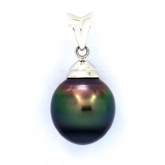 Rhodiated Sterling Silver Pendant and 1 Tahitian Pearl Ringed C 10.1 mm