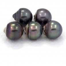 Lot of 5 Tahitian Pearls Baroque D from 13  13.3 mm