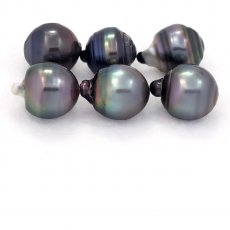Lot of 6 Tahitian Pearls Ringed D from 13  13.4 mm