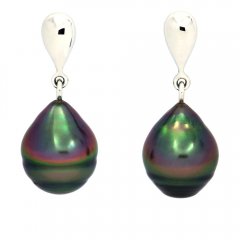 Rhodiated Sterling Silver Earrings and 2 Tahitian Pearls Ringed B 10.1 mm