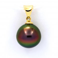 18K solid Gold Pendant and 1 Tahitian Pearl Near-Round B+ 10.3 mm