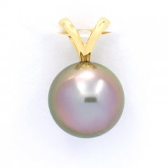 18K solid Gold Pendant and 1 Tahitian Pearl Round B 9.9 mm