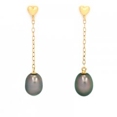 18K Gold Earrings and 2 Tahitian Keishis