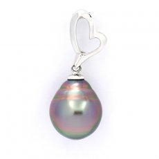 Rhodiated Sterling Silver Pendant and 1 Tahitian Pearl Ringed B 10.5 mm