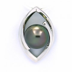 Rhodiated Sterling Silver Pendant and 1 Tahitian Pearl Round C 9.1 mm