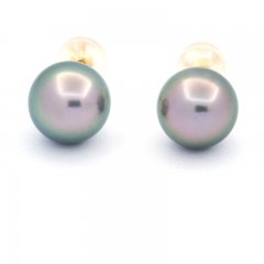 18K solid Gold Earrings and 2 Tahitian Pearls Round B 8.8 mm