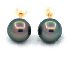 18K solid Gold Earrings and 2 Tahitian Pearls Round A & B 8.5 mm