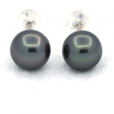 14K White Gold Earrings and 2 Tahitian Pearls Round B/C 8.2 mm