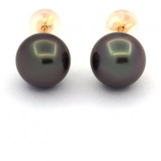 18K solid Gold Earrings and 2 Tahitian Pearls Round B 8.8 mm