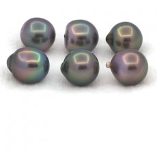 Lot of 6 Tahitian Pearls Semi-Baroque B from 9.5 to 9.8 mm