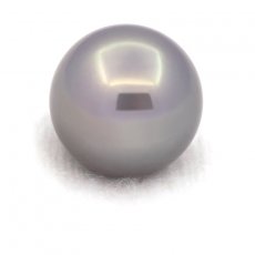 Tahitian Pearl Round B 13.1 mm