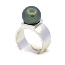 Rhodiated Sterling Silver Ring and 1 Tahitian Pearl Round B 10.9 mm