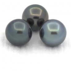 Lot of 3 Tahitian Pearls Round C from 10 to 10.2 mm