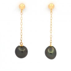 18K Gold Earrings and 2 Tahitian Keishis