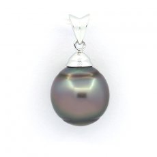 Rhodiated Sterling Silver Pendant and 1 Tahitian Pearl Ringed B/C 11.5 mm