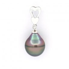 Rhodiated Sterling Silver Pendant and 1 Tahitian Pearl Ringed B 10.7 mm
